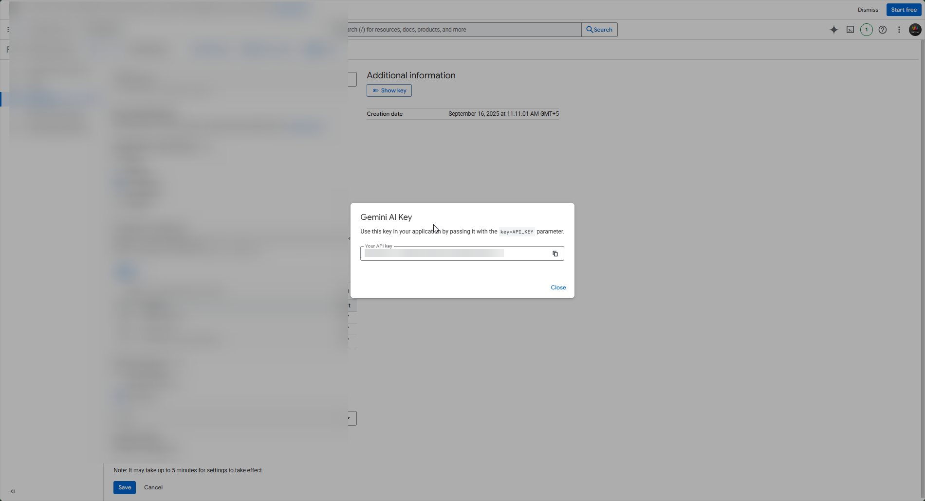 Copy API Key